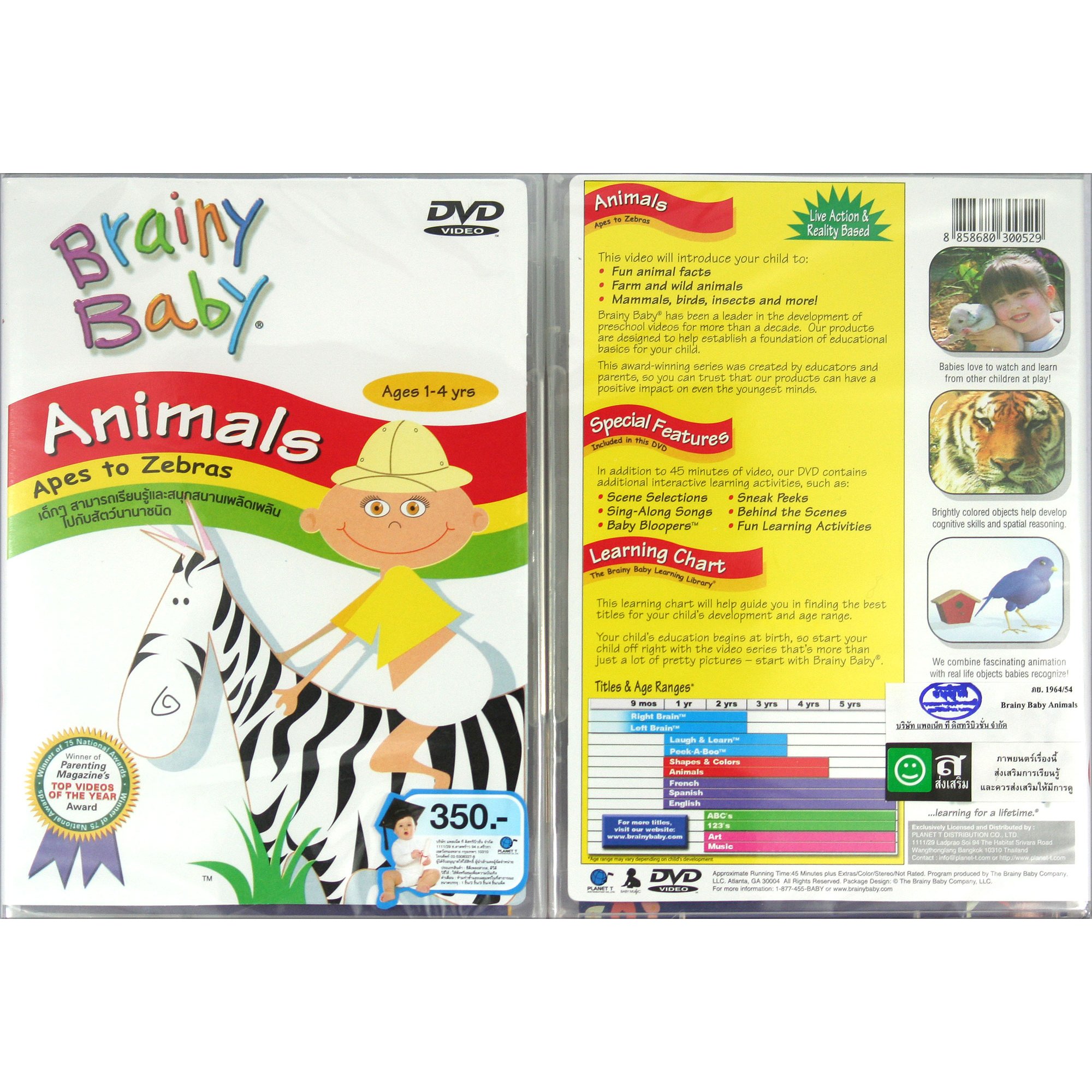 Crystal Music DVD BRAINY BABY "Animal"
